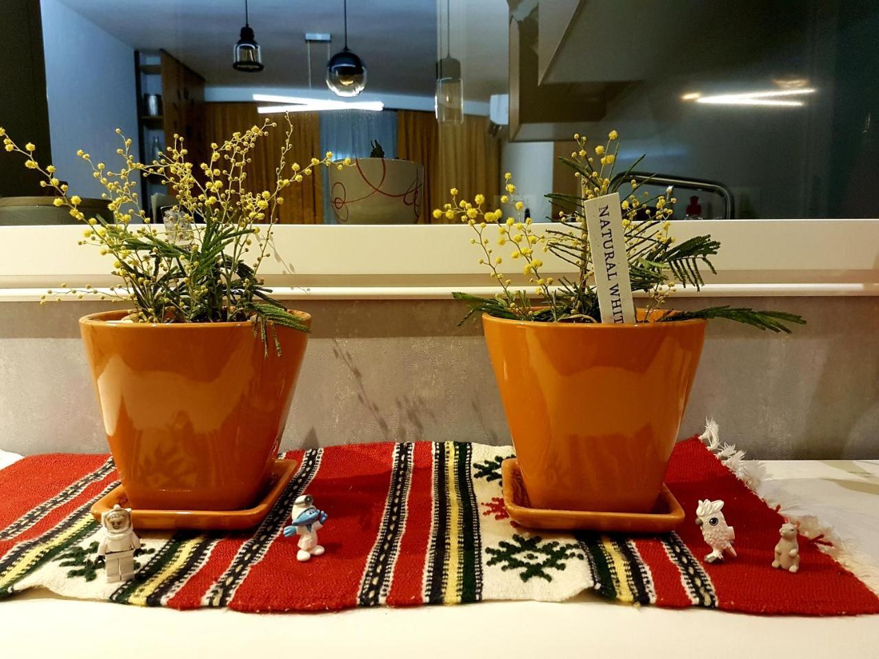 Central Luxury Apartment Tirana Bagian luar foto